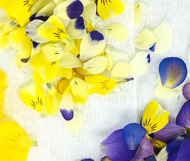 エディブルフラワー